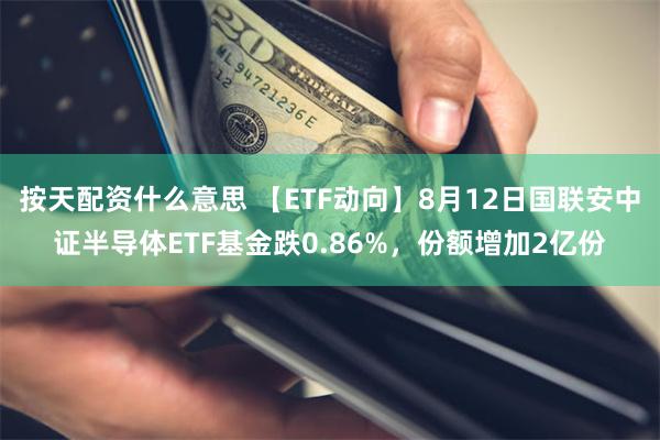 按天配资什么意思 【ETF动向】8月12日国联安中证半导体ETF基金跌0.86%，份额增加2亿份