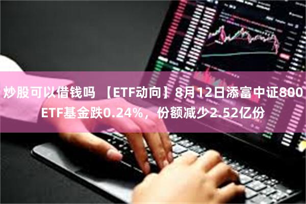 炒股可以借钱吗 【ETF动向】8月12日添富中证800ETF基金跌0.24%，份额减少2.52亿份