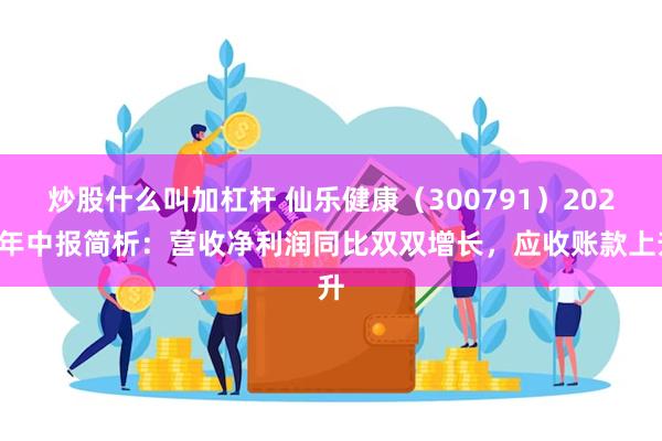 炒股什么叫加杠杆 仙乐健康（300791）2024年中报简析：营收净利润同比双双增长，应收账款上升