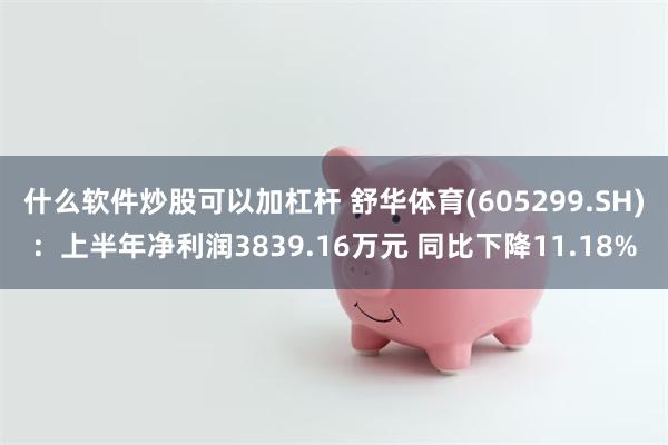 什么软件炒股可以加杠杆 舒华体育(605299.SH)：上半年净利润3839.16万元 同比下降11.18%