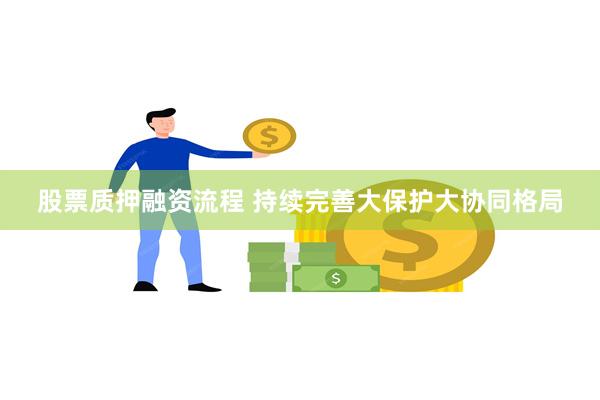 股票质押融资流程 持续完善大保护大协同格局