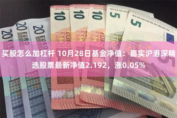 买股怎么加杠杆 10月28日基金净值：嘉实沪港深精选股票最新净值2.192，涨0.05%