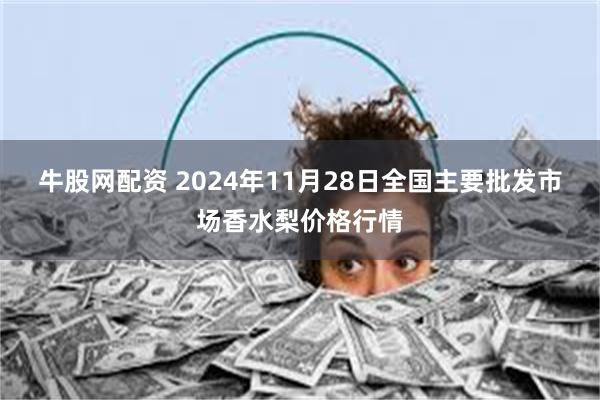 牛股网配资 2024年11月28日全国主要批发市场香水梨价格行情