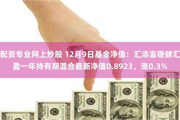 配资专业网上炒股 12月9日基金净值：汇添富稳健汇盈一年持有期混合最新净值0.8923，涨0.3%