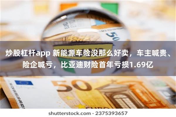 炒股杠杆app 新能源车险没那么好卖，车主喊贵、险企喊亏，比亚迪财险首年亏损1.69亿