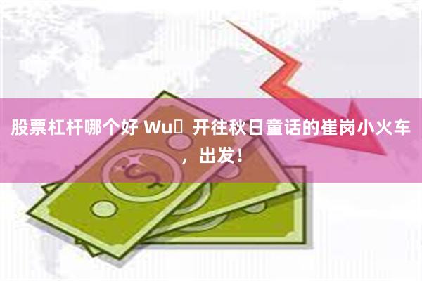 股票杠杆哪个好 Wu࿐开往秋日童话的崔岗小火车，出发！